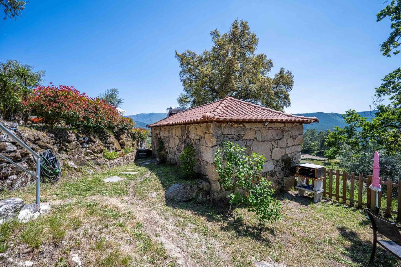 Quinta Da Baldieira 몬딤데바스토 외부 사진