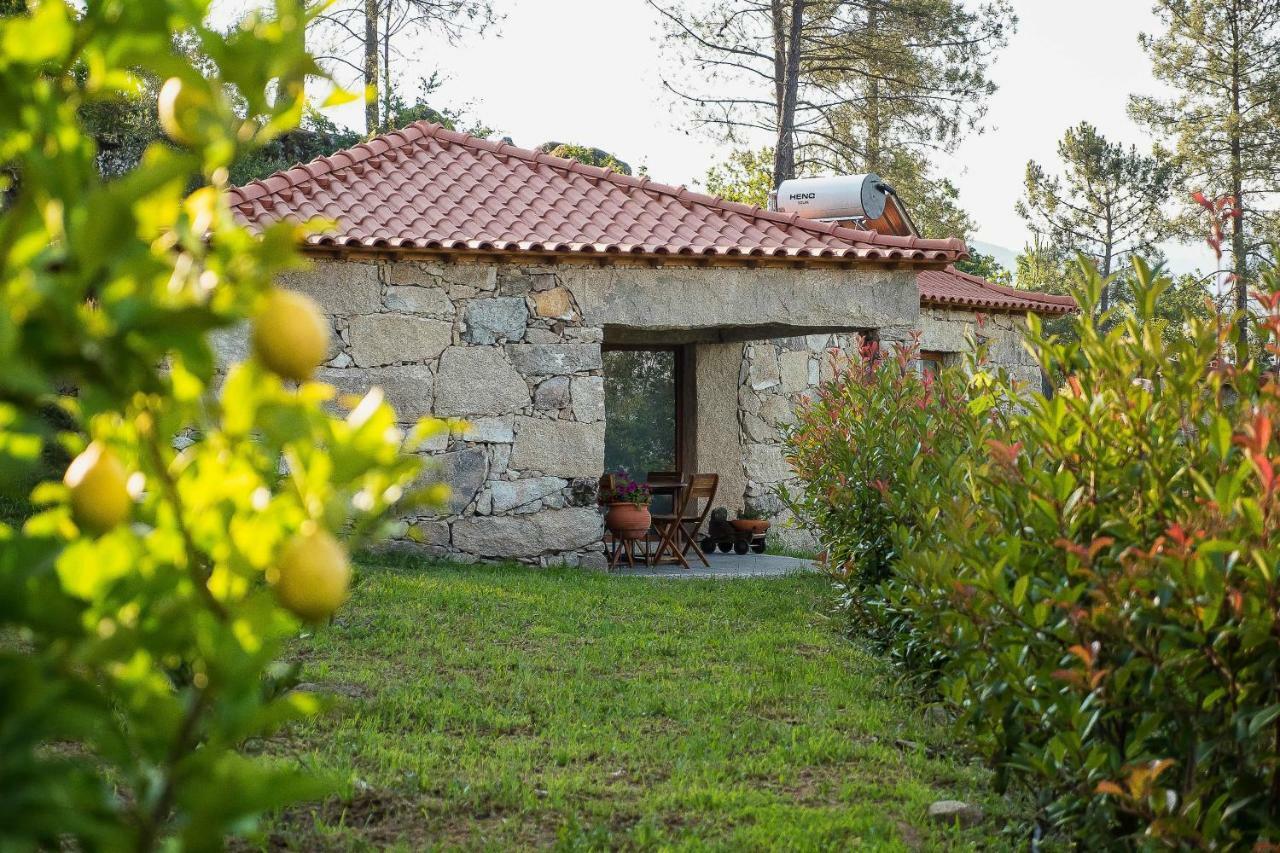 Quinta Da Baldieira 몬딤데바스토 외부 사진